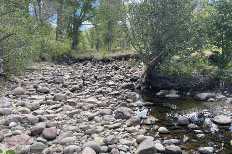 A dry up point on the Little Cimarron