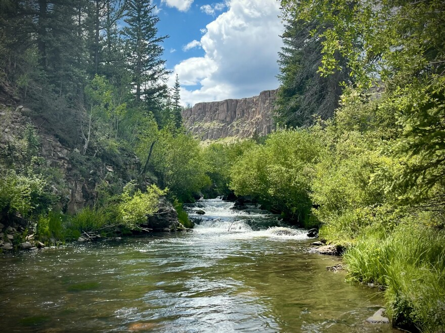 Cebolla Creek