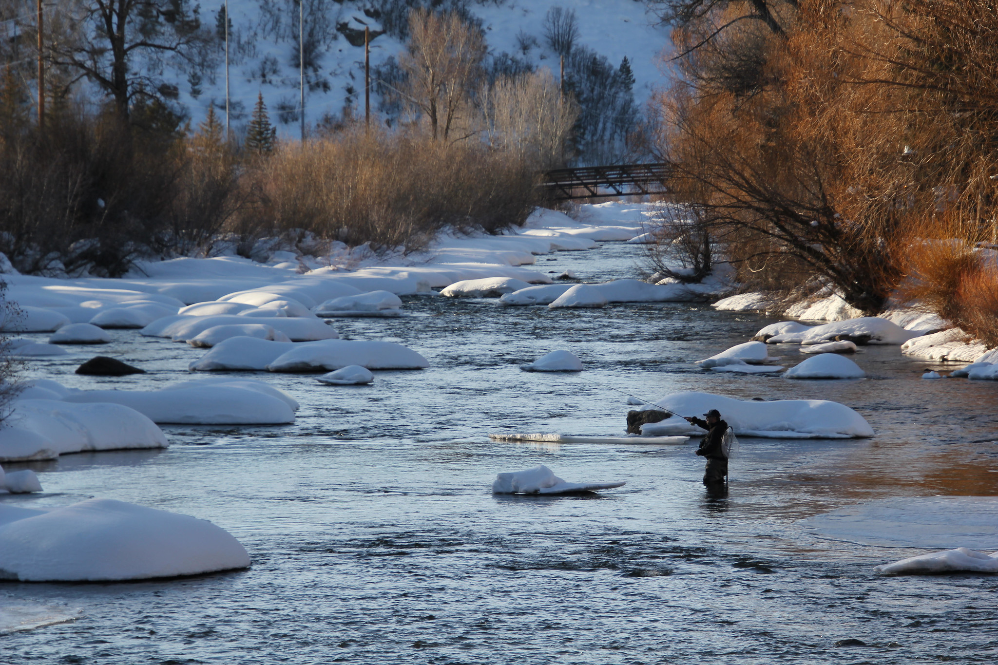 yampa river