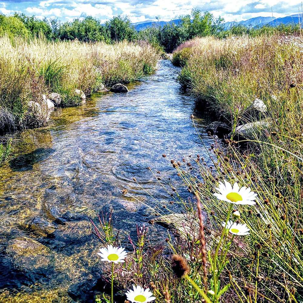 leadville creek