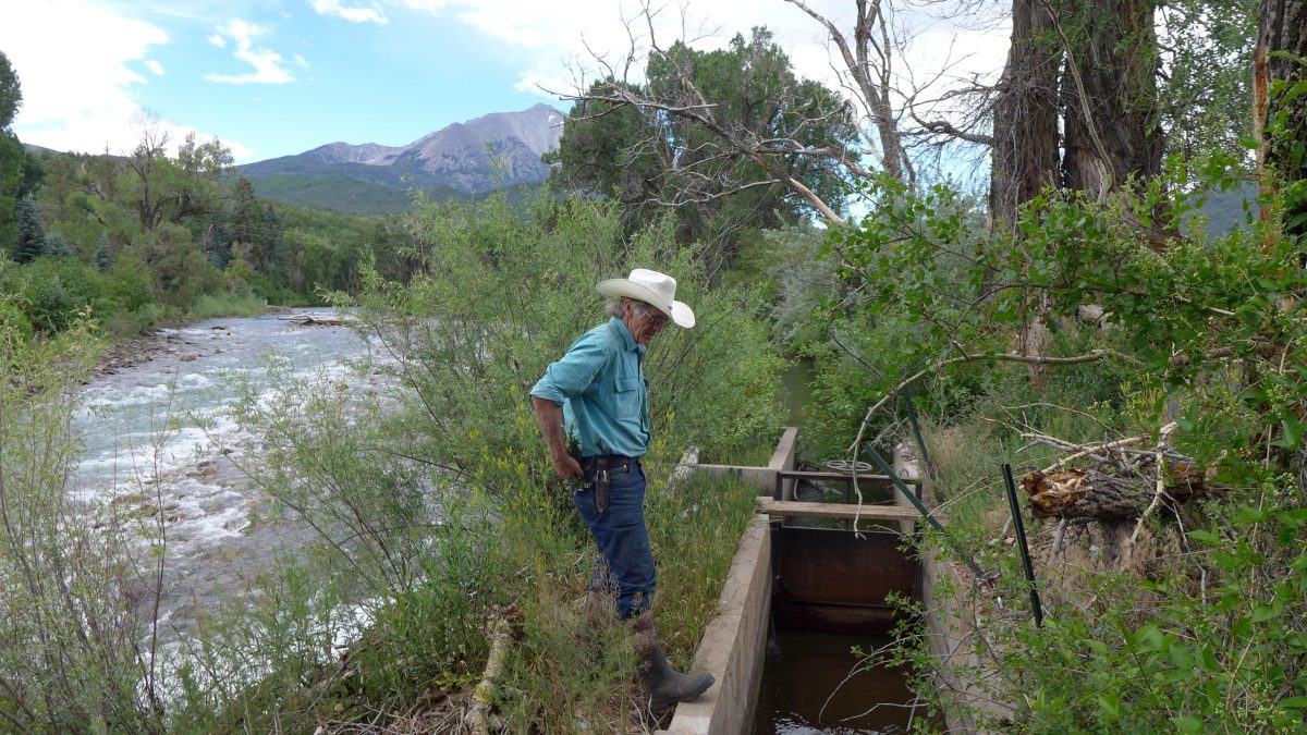 Crystal River rancher, Bill Fales