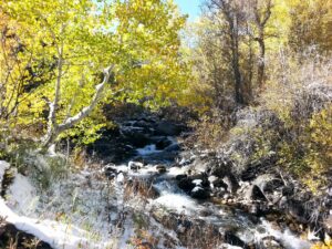 boulder creek