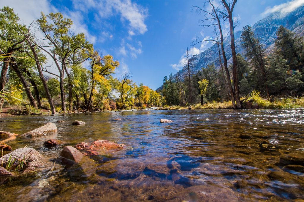 Roaring Fork River - Wheeler Ditch