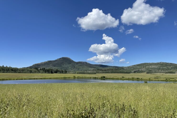 Slater Creek flowing through a hay meadow near Steamboat Springs