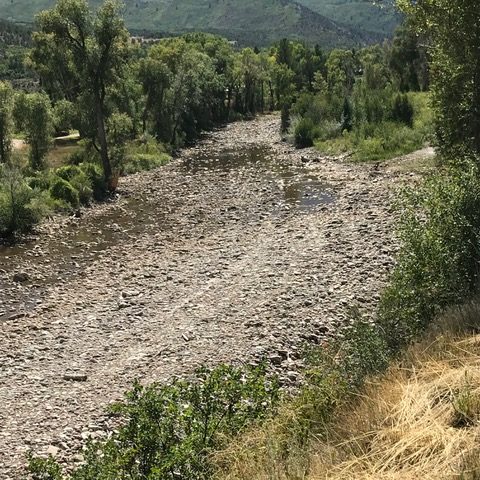 Nearly dry Crystal River