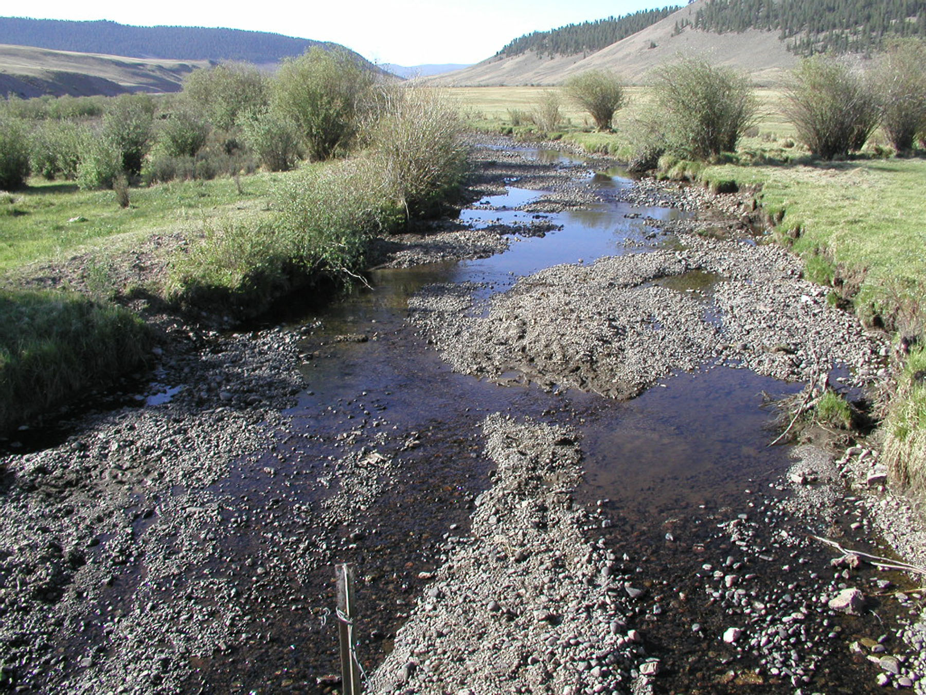 Cochetopa Creek near Gunnison in 2002