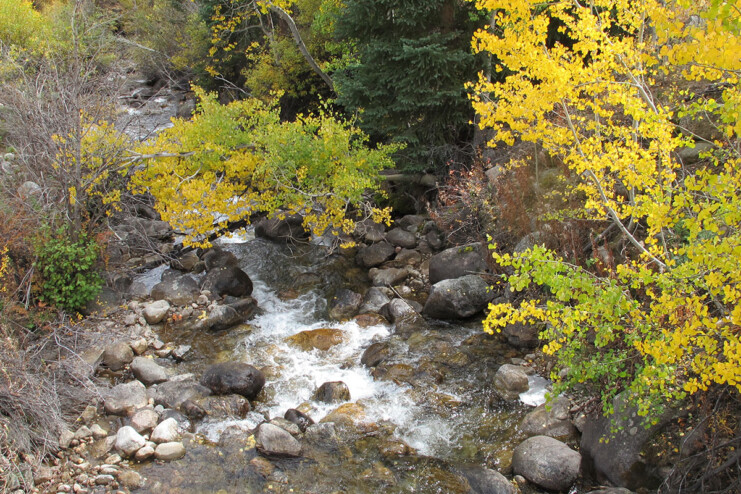 peabody ditch