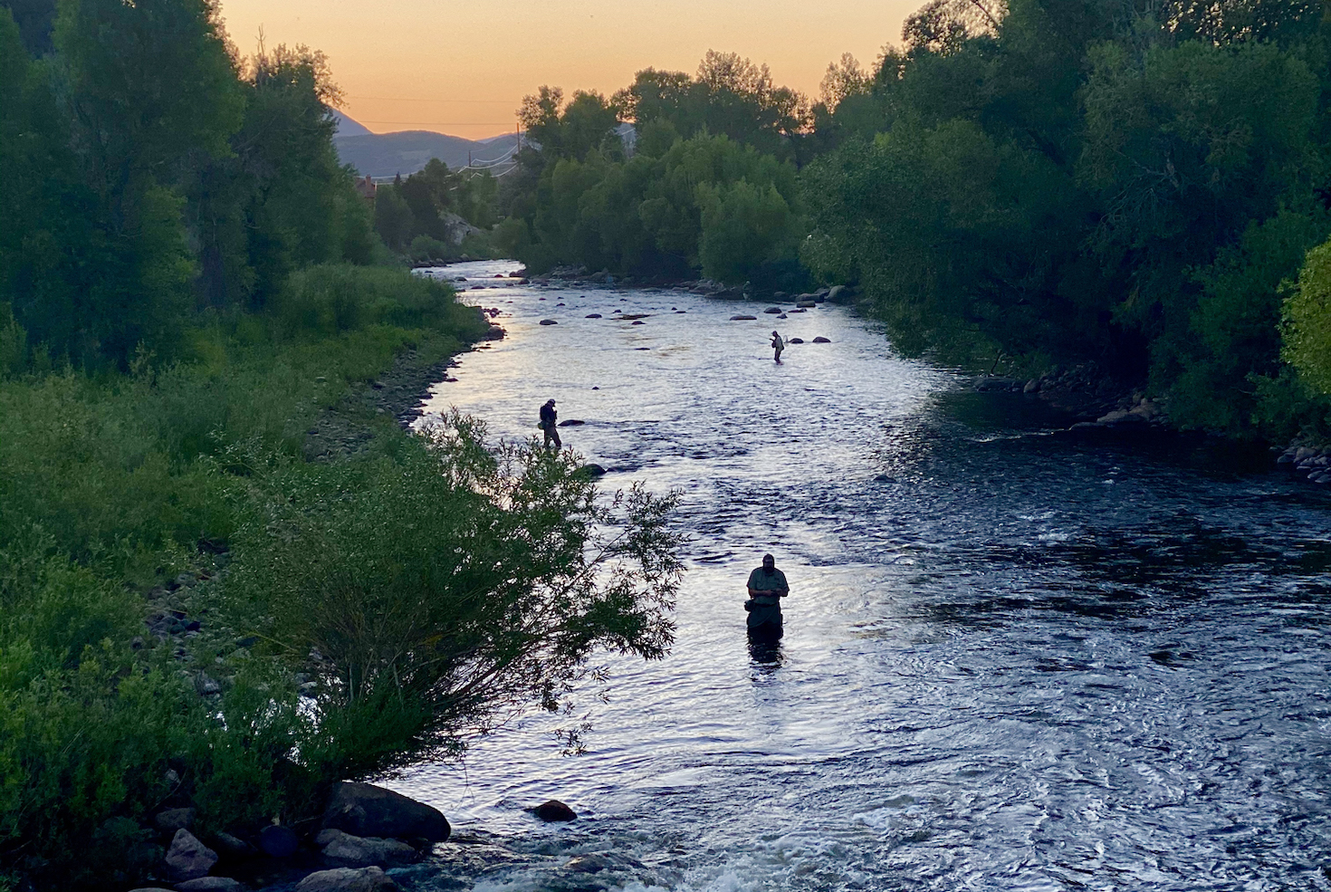 Fly fisherman in the Upper Yampa