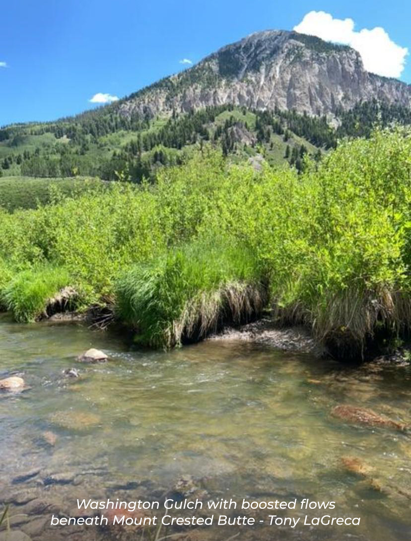 washington gulch