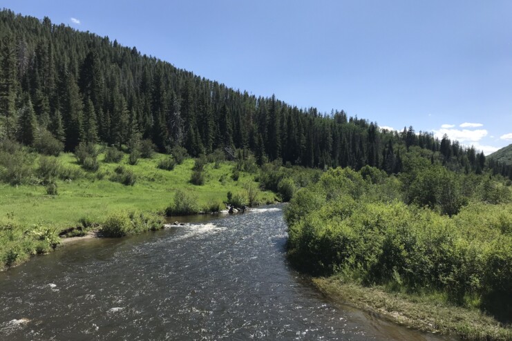 Yampa River Instream Flow Reach