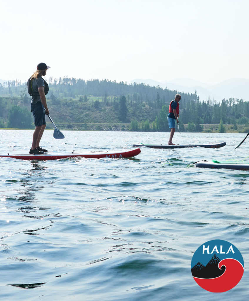 People on paddleboards.