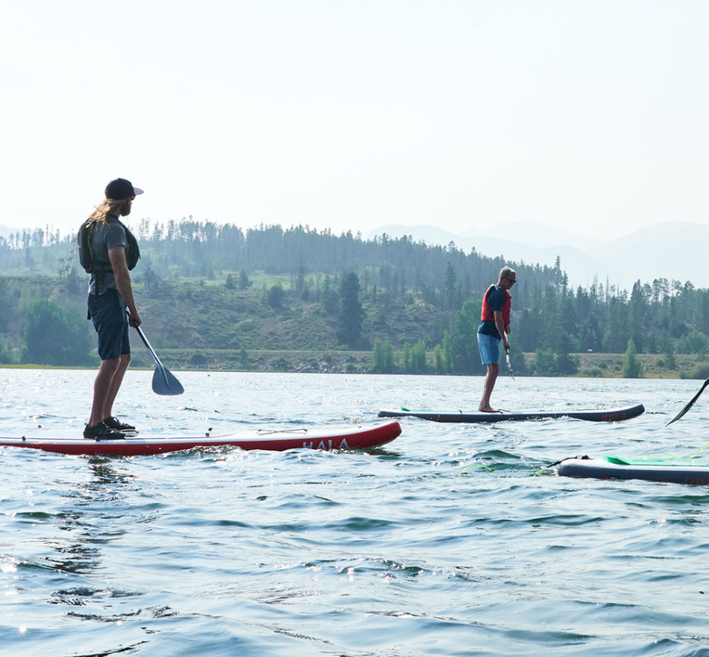 People on paddleboards.