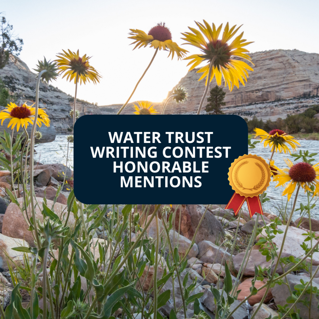 Water Trust Writing Contest: Honorable Mentions